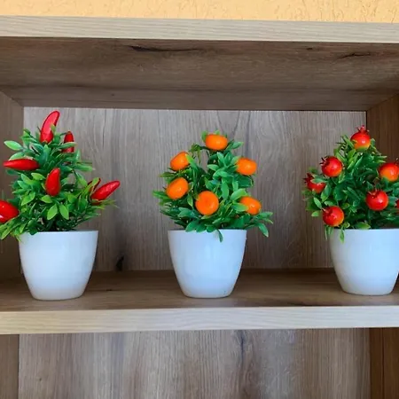 Apartamento Near Forum *